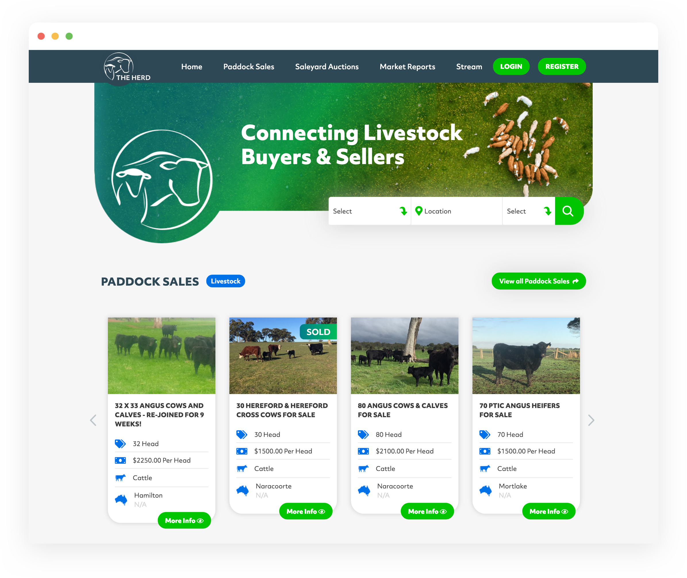 web development, web design showing the trading platform of the herd